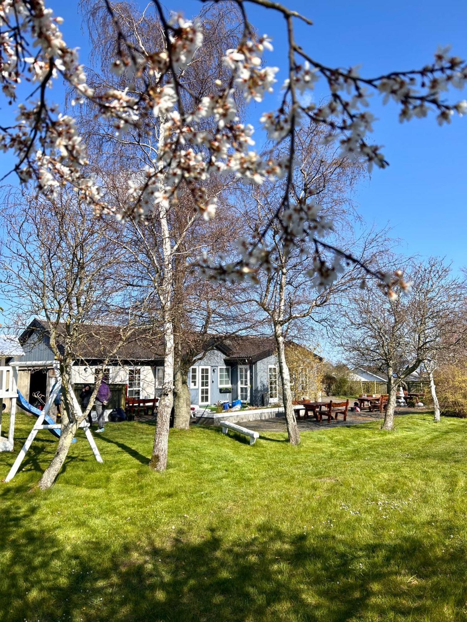 Apartamenty Neksø エクステリア 写真